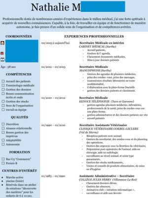 montre un cv créé par le webdesigner avec toutes les compétences et une couleur dominante bleu