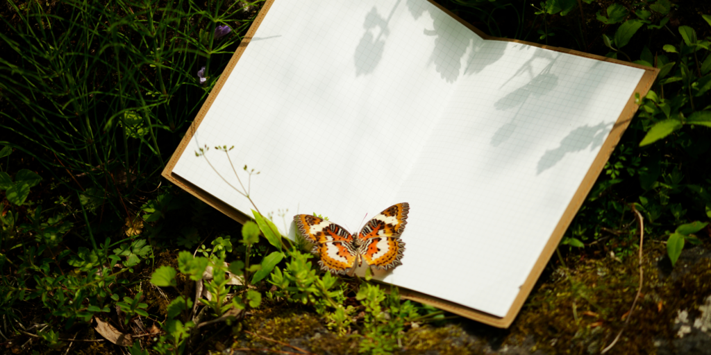 image avec un livre et un papillon 