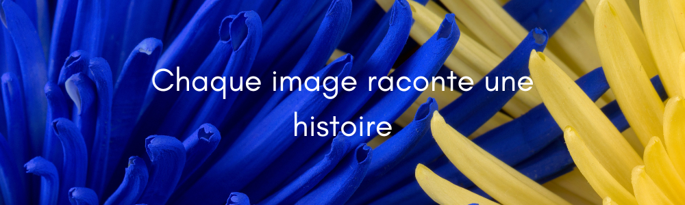 Image contenant une citation sur l'image et la création graphique avec un fond au couleur du site